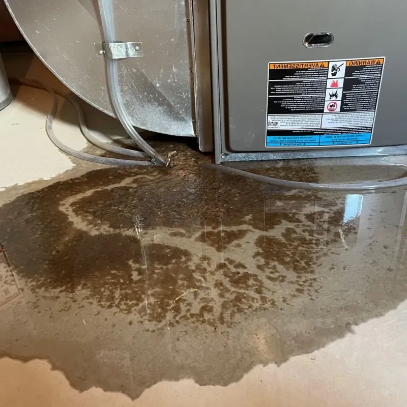 Pipe Burst and Leak Restoration in Oneida, NY